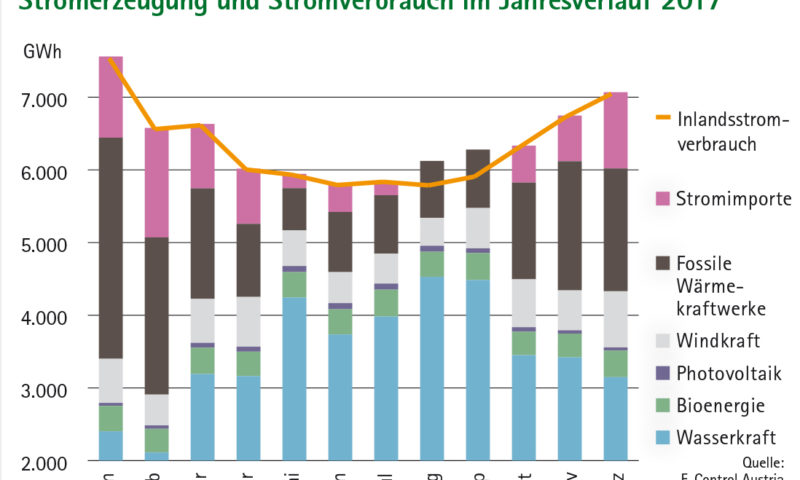 Energie Aus Biomasse Biow Rmepartner